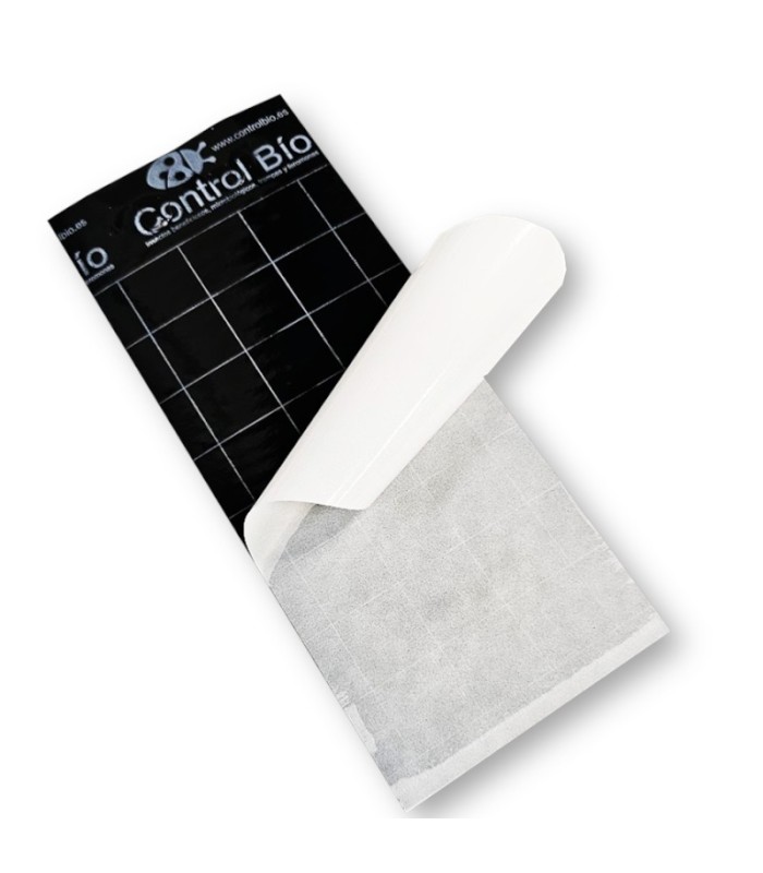 PLACA NEGRA 10x25 individual