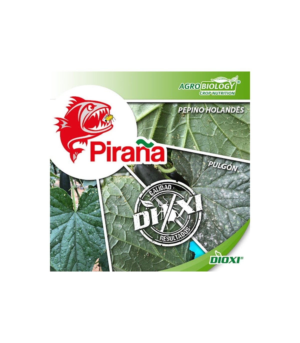 DIOXI PIRAÑA 5L sistémico ecológico frente a pulgón