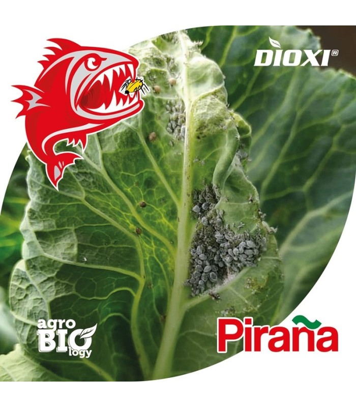 DIOXI PIRAÑA 5L sistémico ecológico frente a pulgón