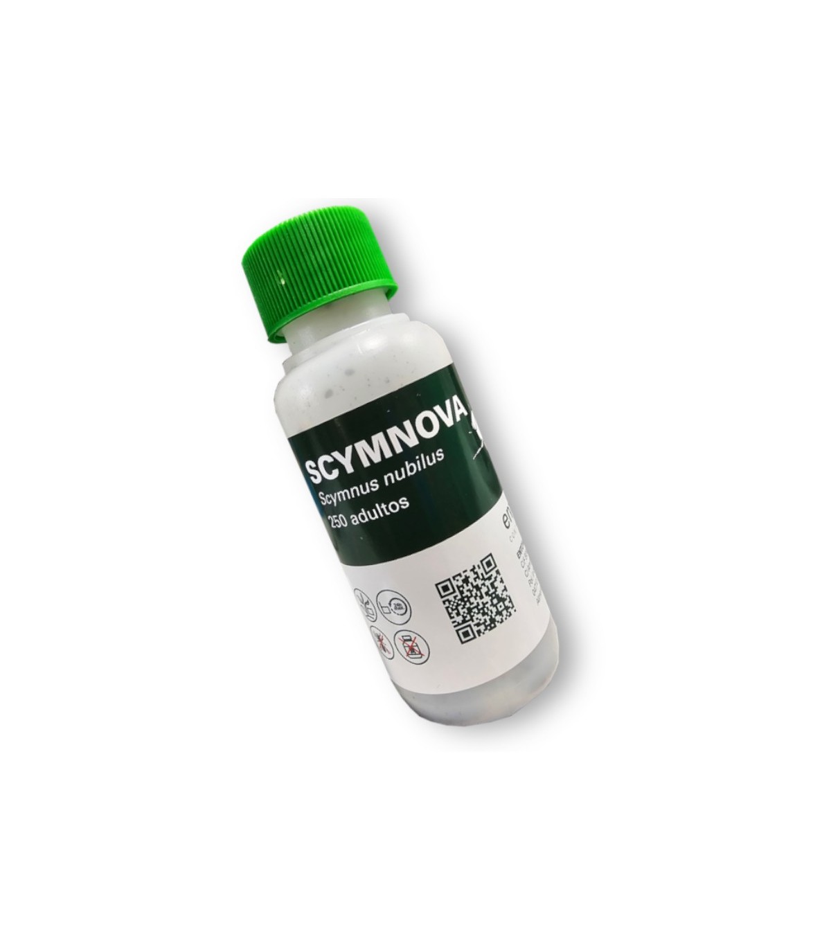 SCYMNOVA 250 mariquitas depredadoras de pulgón