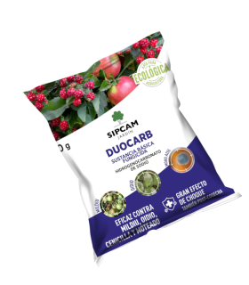 DUOCARB 60 gr