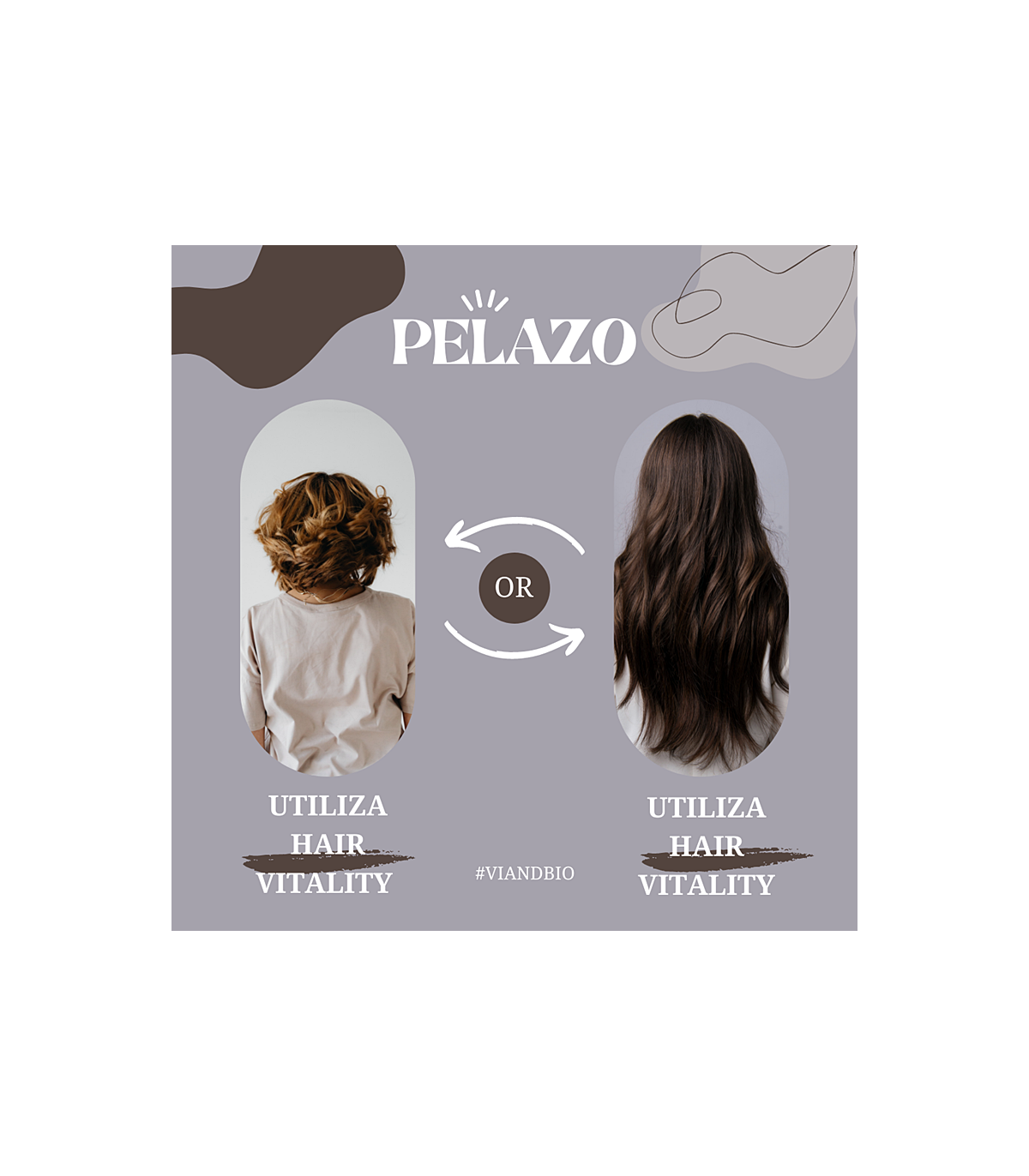 HAIR VITALITY SHAMPOO regenerador capilar