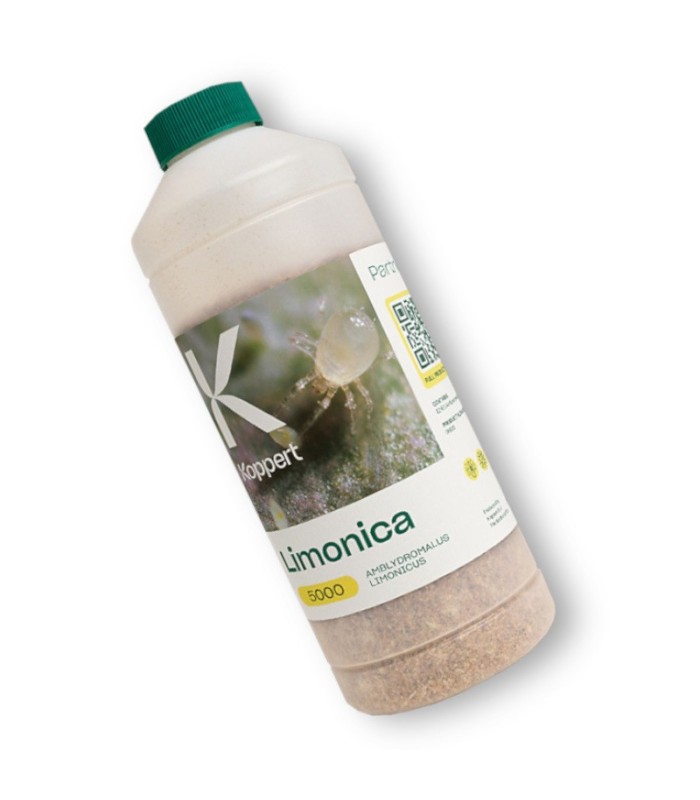 LIMONICA 25.000 depredador de trips y mosca blanca