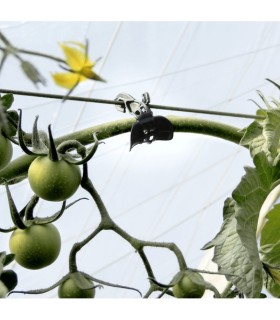 PINZA KOALA para descuelgue de tomateras x 100 Ud.