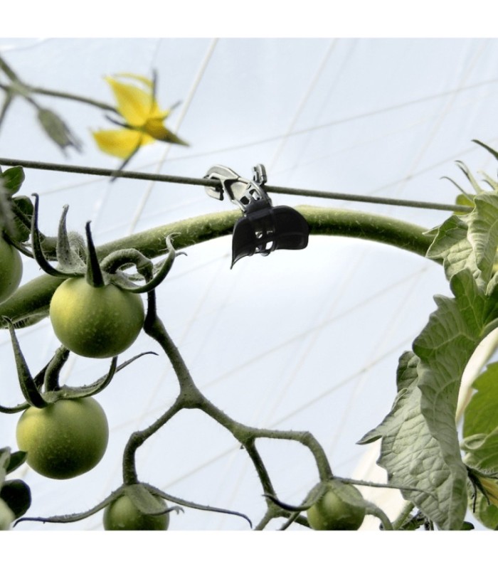 PINZA KOALA para descuelgue de tomateras x 100 Ud.