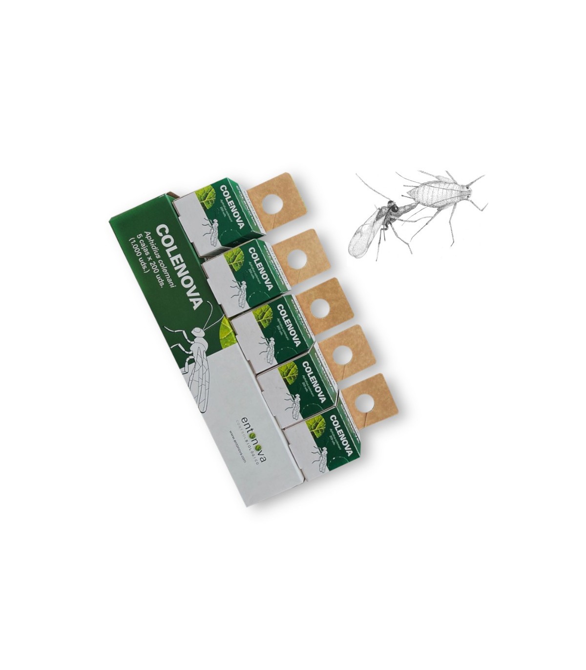 COLENOVA 5x200 Aphidius colemani contra pulgón