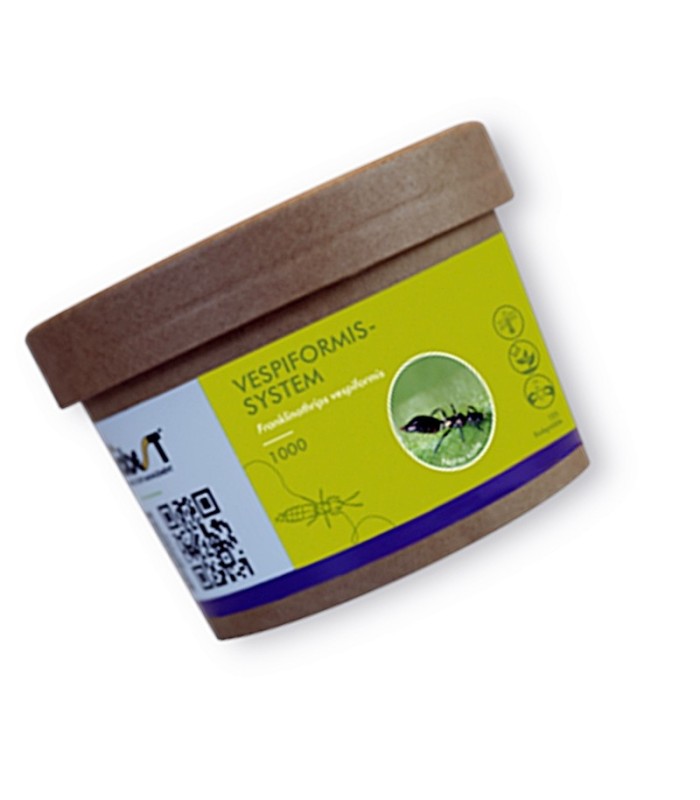 VESPIFORMIS SYSTEM 1.000 depredador de trips