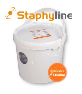 STAPHYLINE CUBO DE CRÍA depredador generalista en suelo