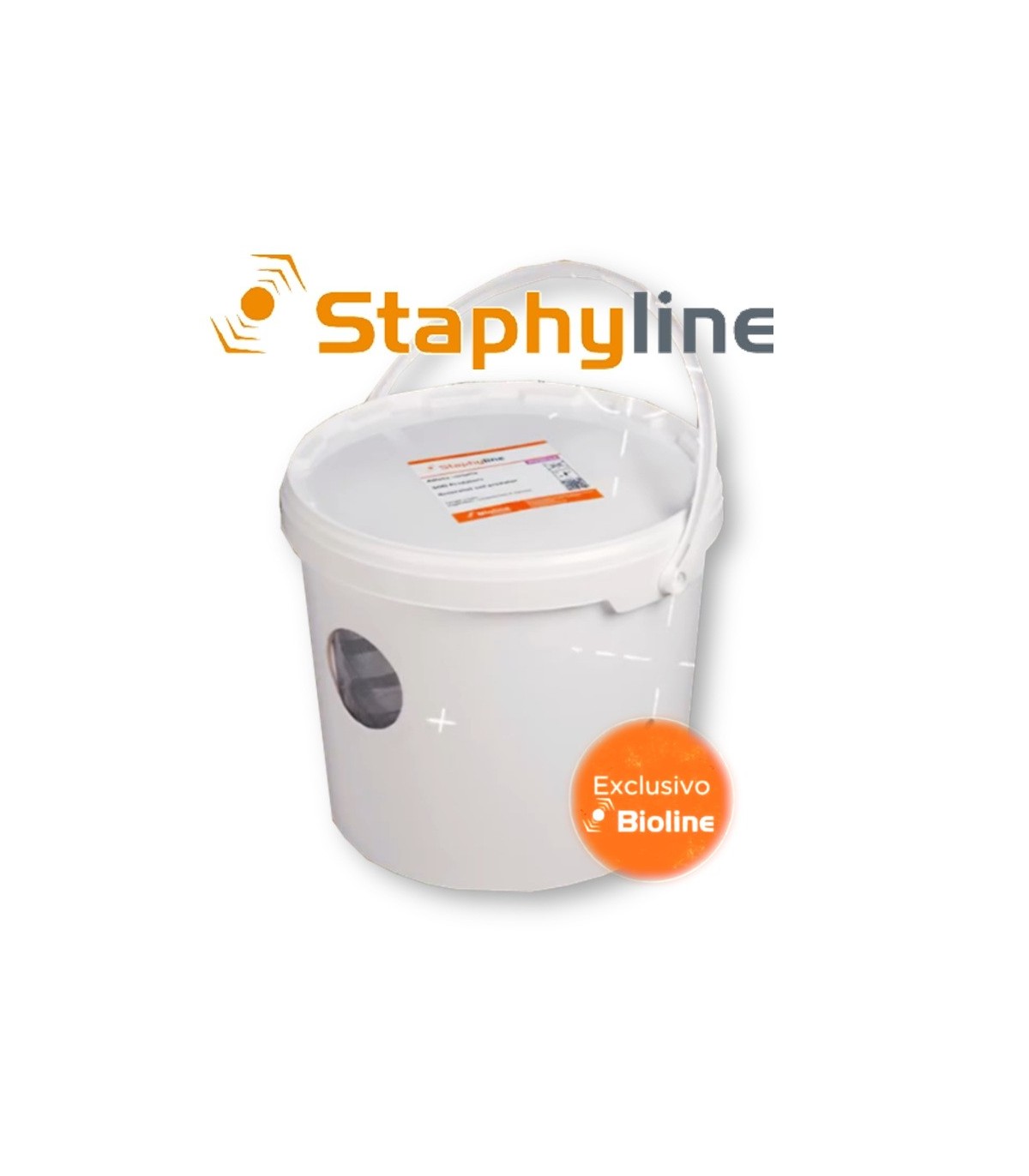 STAPHYLINE CUBO DE CRÍA depredador generalista en suelo