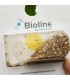 APHIDOLINE 1000 BLISTER 4x250 Aphidoletes depredador de pulgón