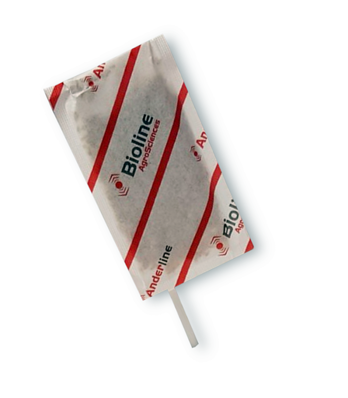 ANDERLINE STICK 200 sobres con palo