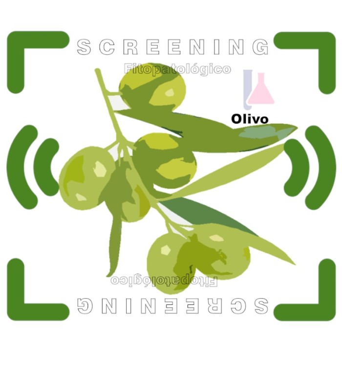 Detección multi especies de los  fitopatógenos más usuales en olivar