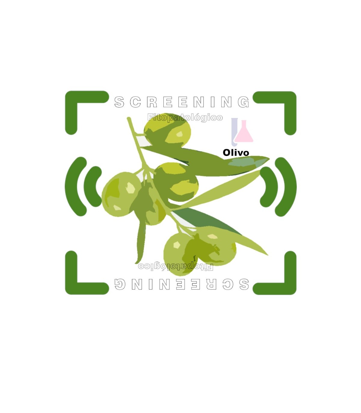 Detección multi especies de los  fitopatógenos más usuales en olivar