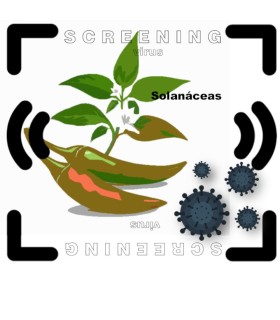 Detección de virus en solanaceas