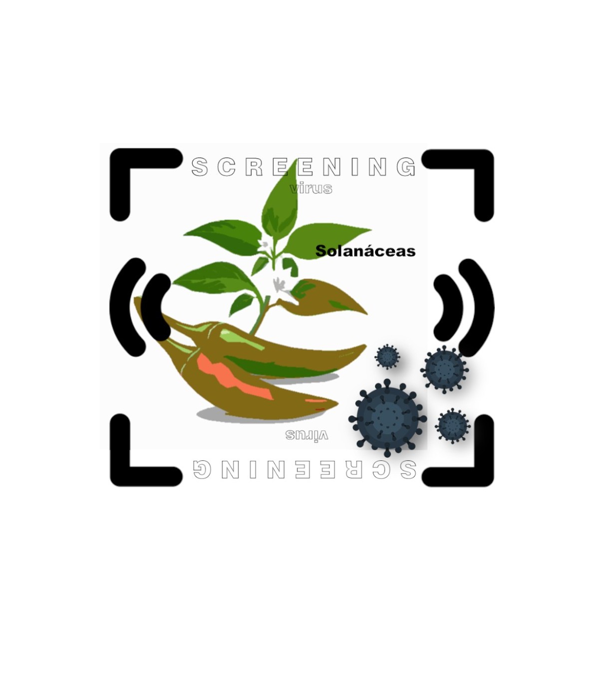 Detección de virus en solanaceas