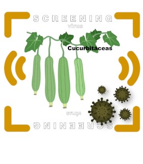Análisis Multiespecífico de Virus en Cucurbitáceas | Control Bío