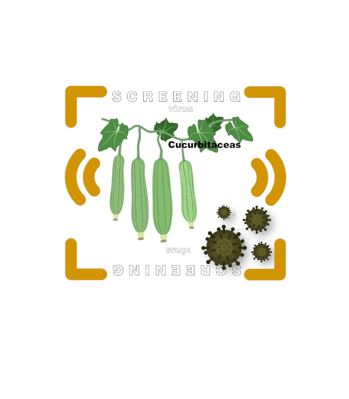 Análisis Multiespecífico de Virus en Cucurbitáceas | Control Bío