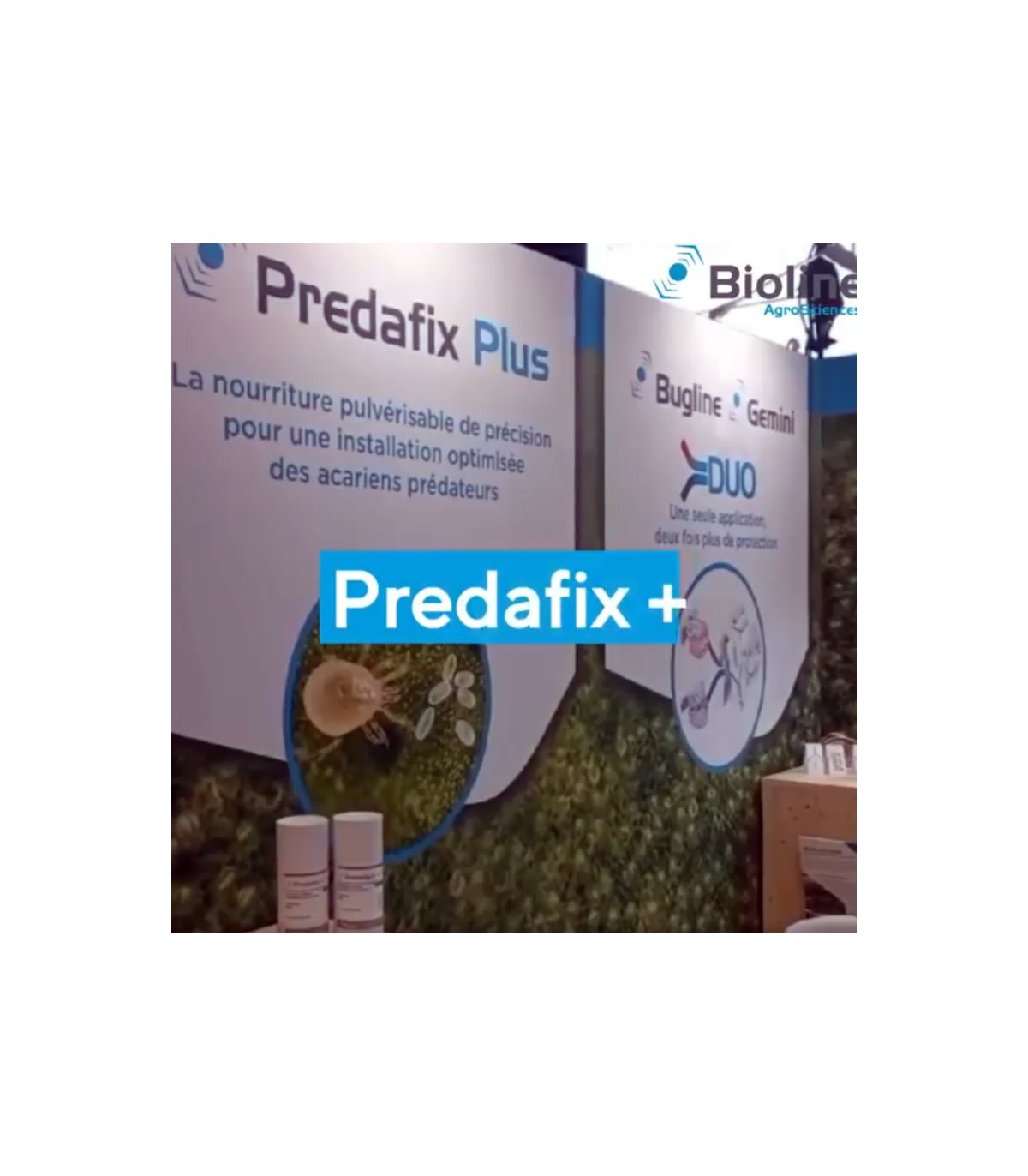 PREDAFIX PLUS 225 g alimento pulverizable para ácaros depredadores