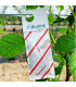 ANDERLINE 200 minisobres Amblyseius andersoni