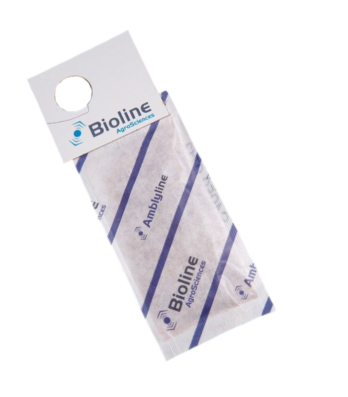AMBLYLINE 200 sobres A. cucumeris contra thrips