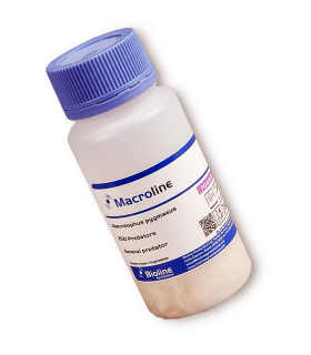 MACROLINE 250 depredador generalista Macrolophus