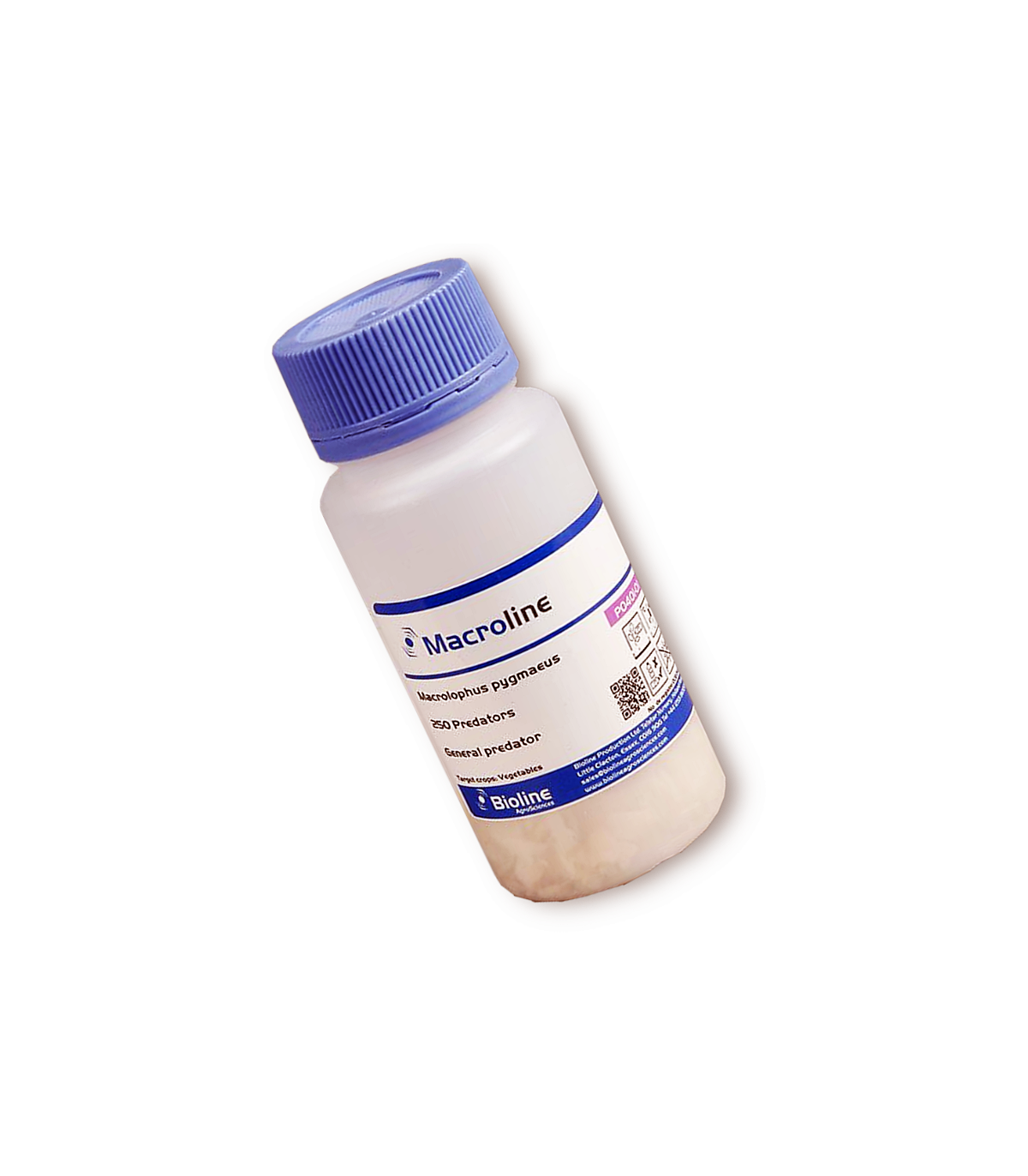 MACROLINE 250 depredador generalista Macrolophus