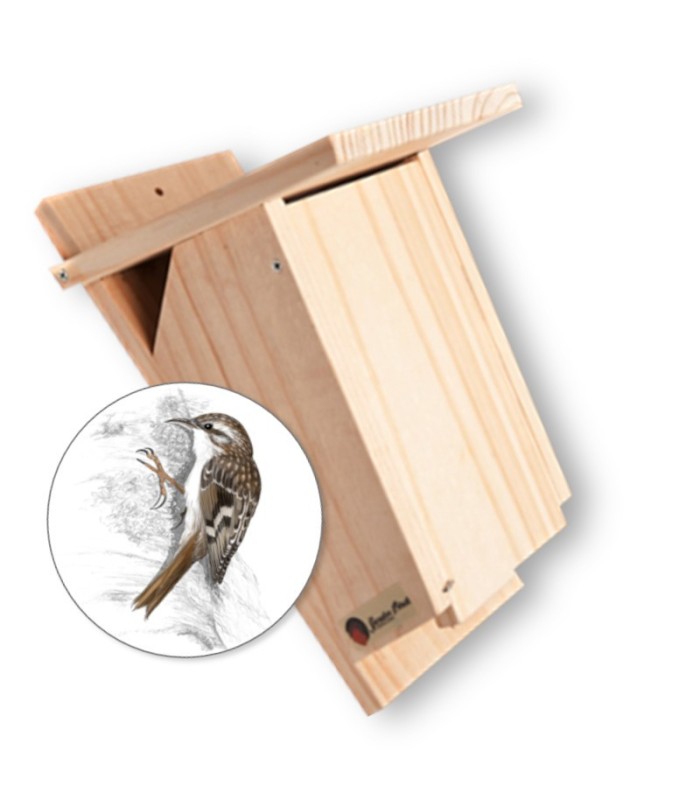 caja nido agateador "CERTHIA"