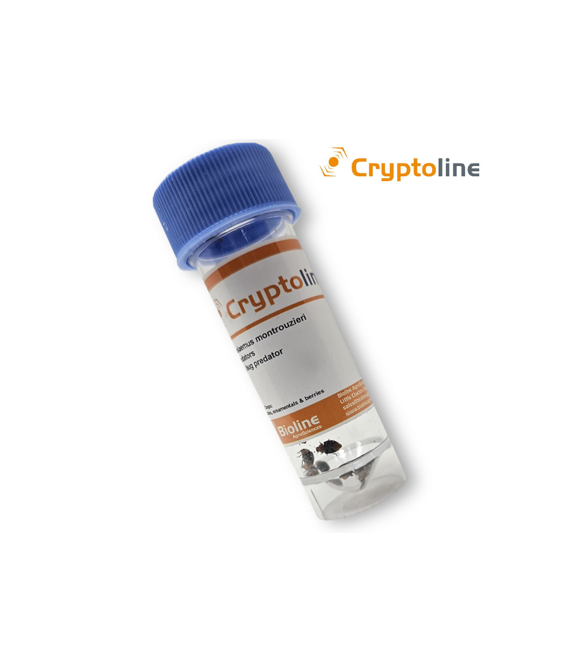 CRYPTOLINE 25 adultos control de cochinilla algodonosa