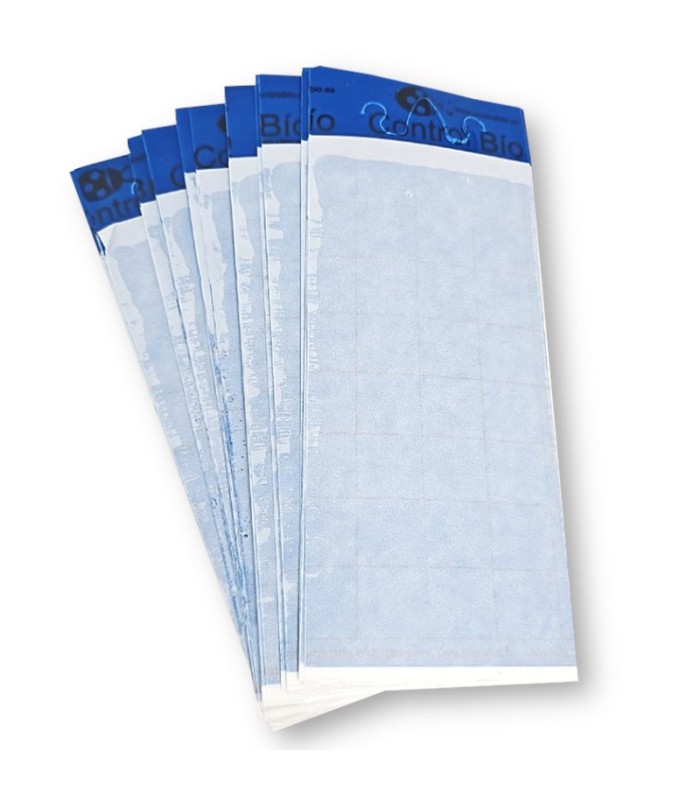 PLACA AZUL 10 x 30 cm individual (paquete de 50 Ud)