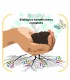 Detección multiespecies de microorganismos beneficiosos en suelo