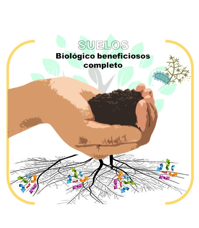 Detección multiespecies de microorganismos beneficiosos en suelo