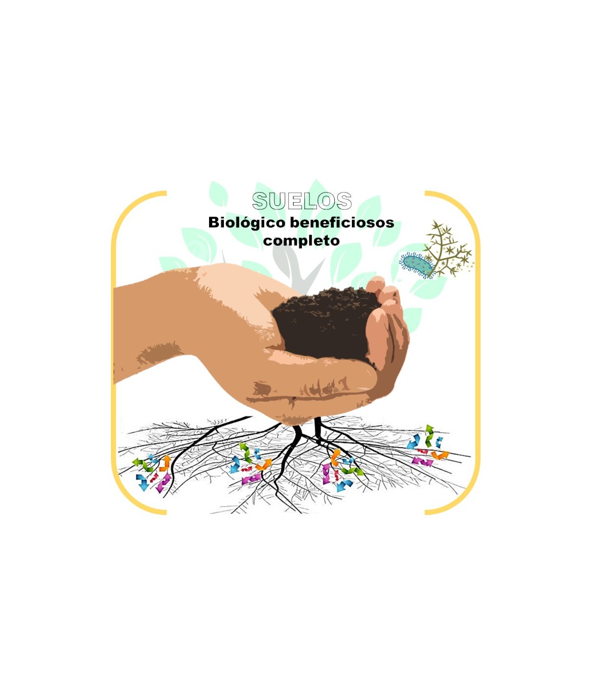 Detección multiespecies de microorganismos beneficiosos en suelo