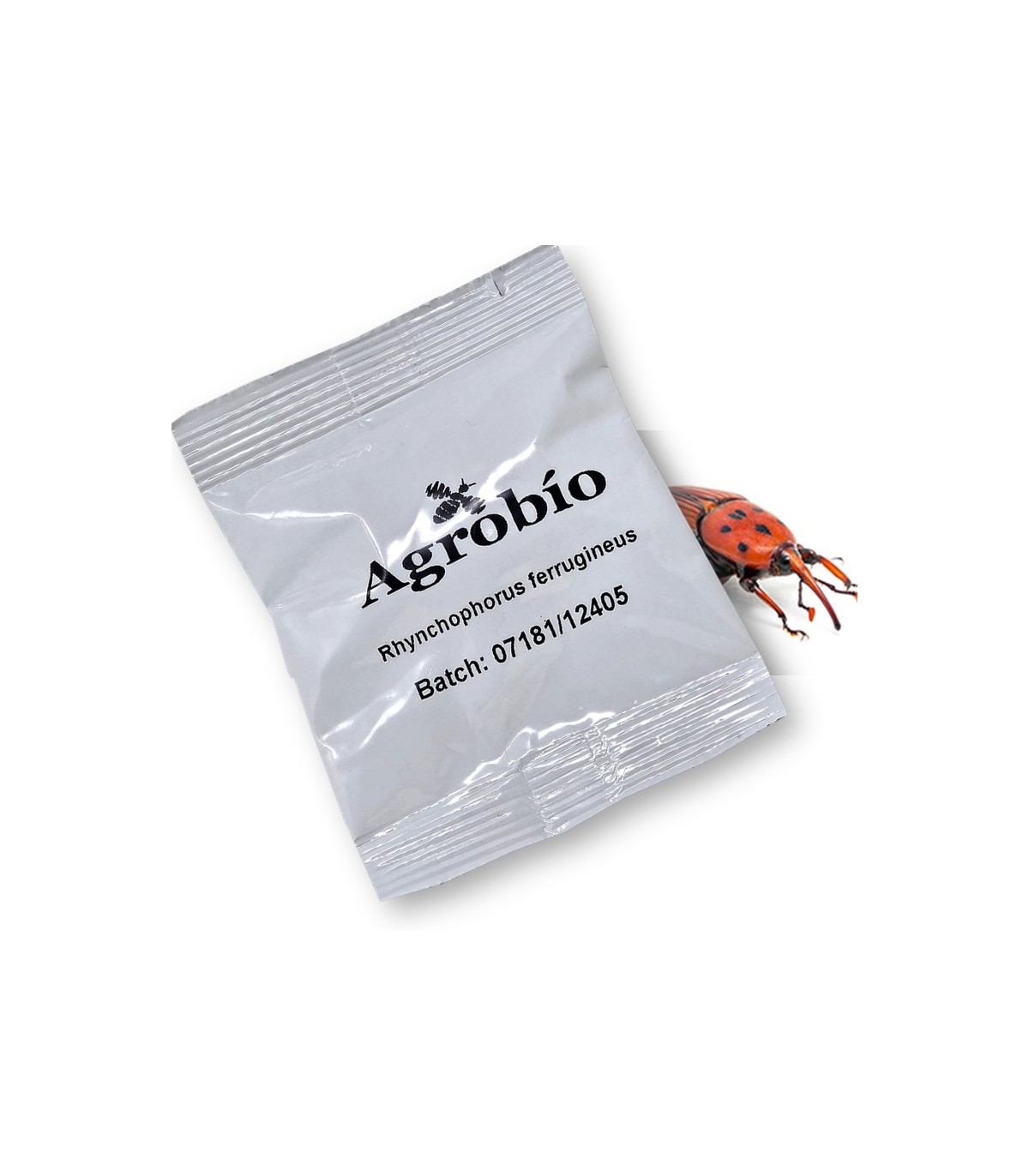 RHYNCHOPHORUS FERRUGINEUS feromona picudo rojo Agrobio 60 dias