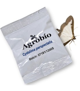 POLILLA DEL BOJ feromona 40 dias
