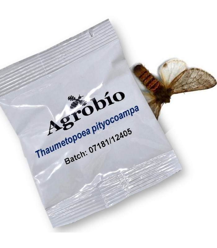 PROCESIONARIA DEL PINO feromona Agrobio 40 dias