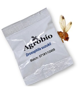 DROSOPHILA SUZUKII feromona Agrobio 60 dias