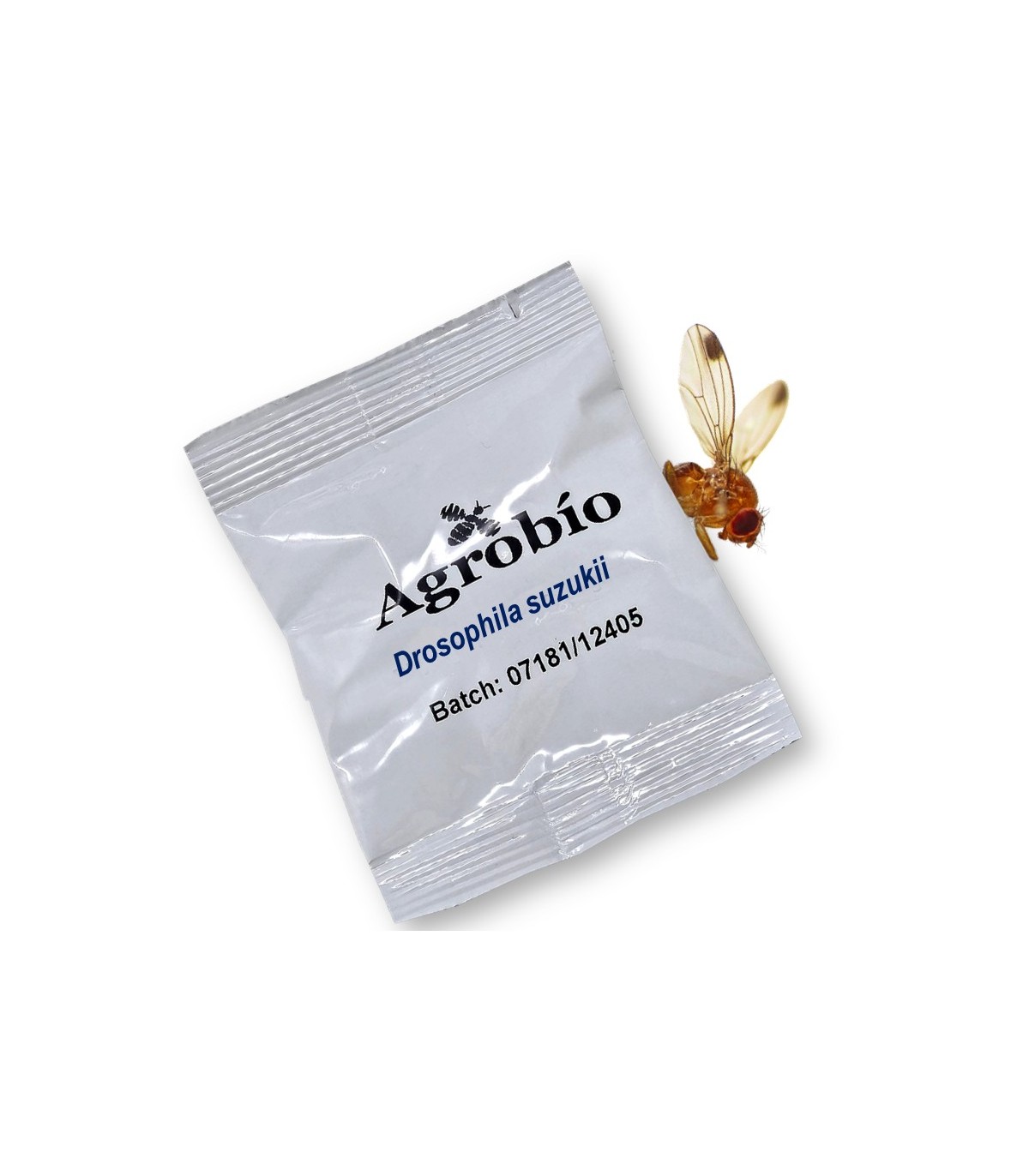 DROSOPHILA SUZUKII feromona Agrobio 60 dias