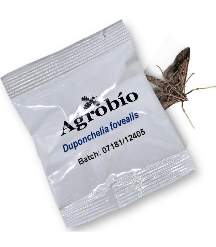 DUPONCHELIA FOVEALIS feromona Agrobio