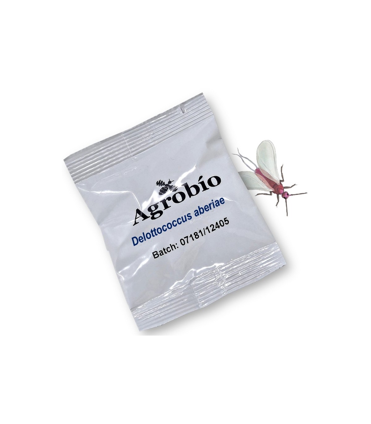 DELOTOCCOCUS ABERIAE cotonet de sudáfrica feromona Agrobio