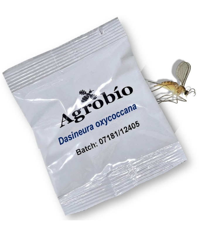 DASINEURA OXYCOCCANA feromona Agrobio