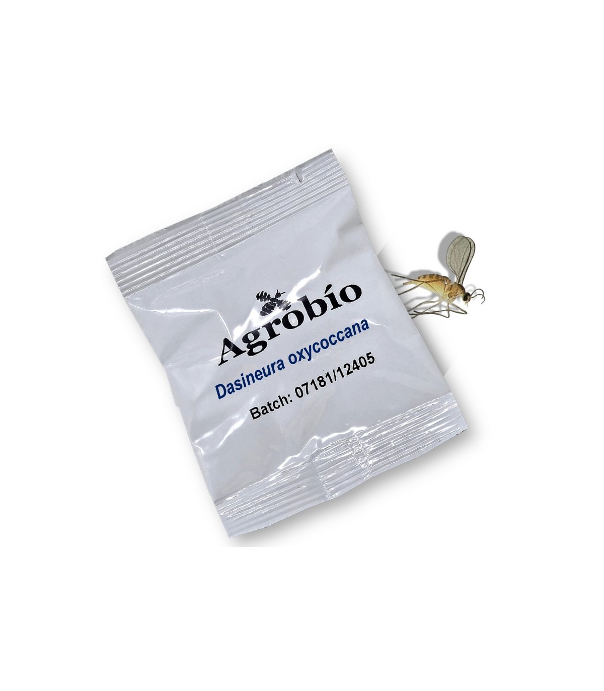 DASINEURA OXYCOCCANA feromona Agrobio