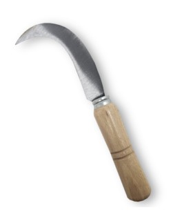 CORVILLO de vendimiar