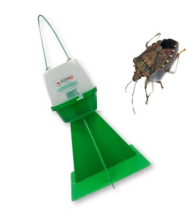 TRAMPA PARA HALYOMORPHA HALYS