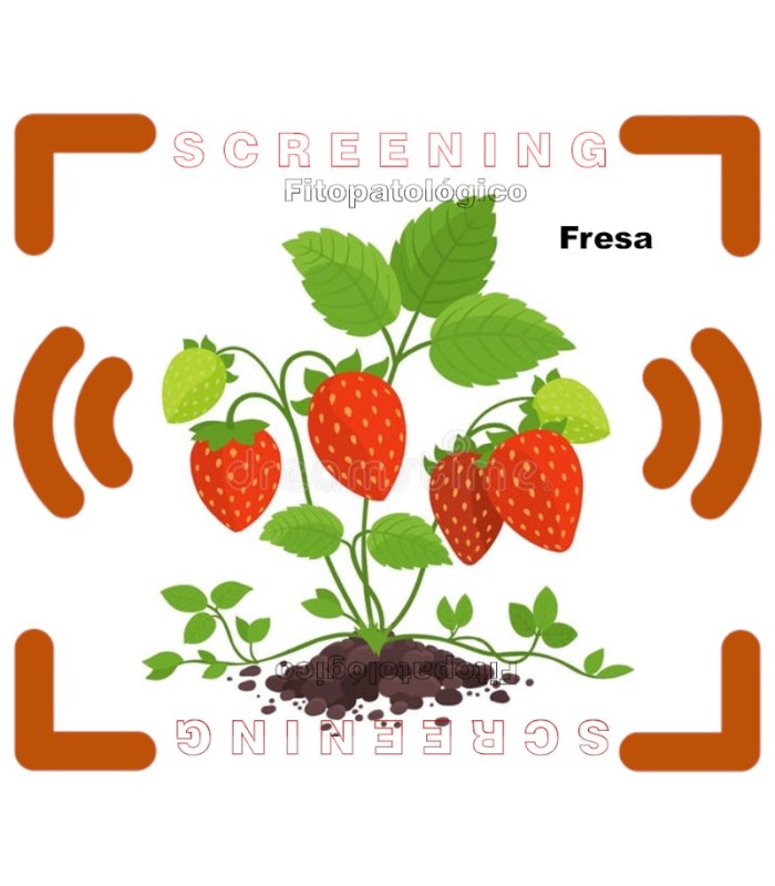 DETECCIÓN DE FITOPATÓGENOS EN FRESA