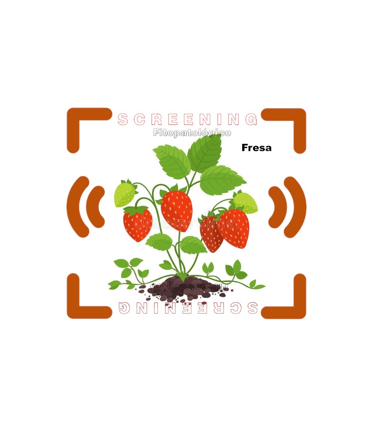 DETECCIÓN DE FITOPATÓGENOS EN FRESA