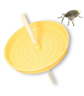 TRAMPA GORGOJO DE LA COLZA Ceuthorrhynchus