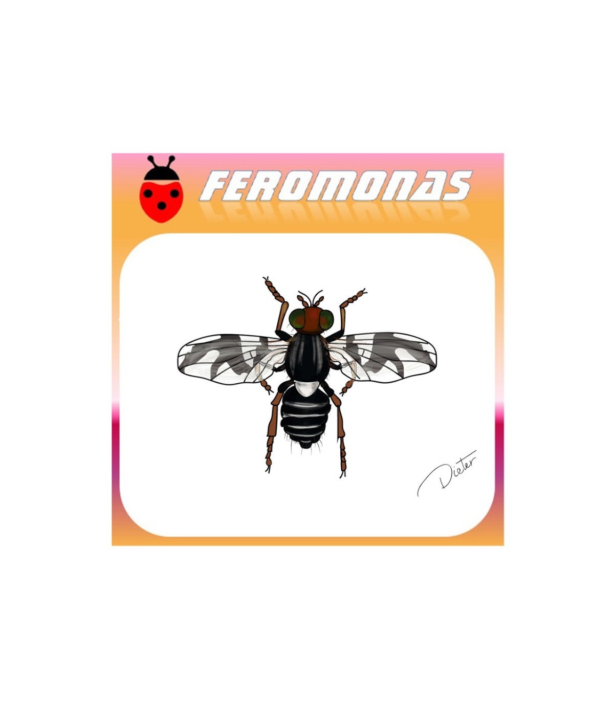 RHAGOLETIS POMONELLA feromona 90 dias