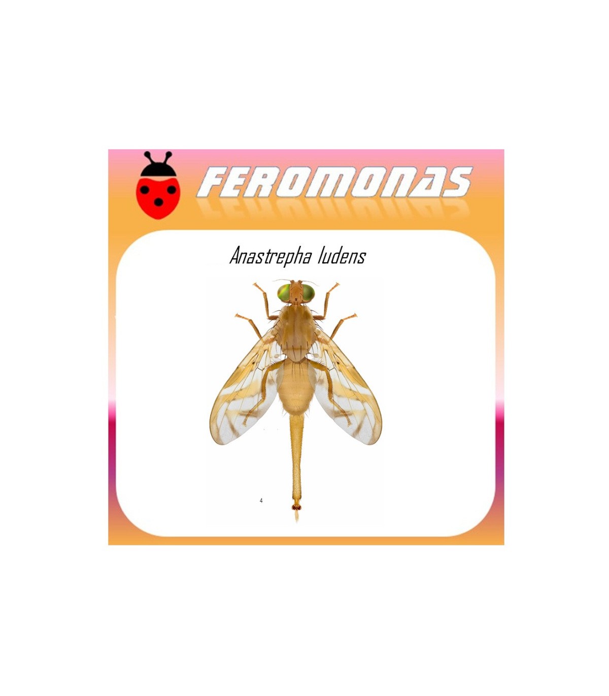 ANASTREPHA LUDENS mosca mexicana de la fruta feromona 120 dias