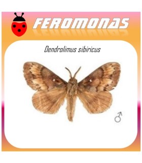 DENDROLIMUS SIBIRICUS feromona polilla siberiana 60 dias