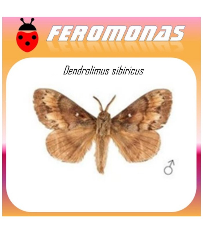 DENDROLIMUS SIBIRICUS feromona polilla siberiana 60 dias